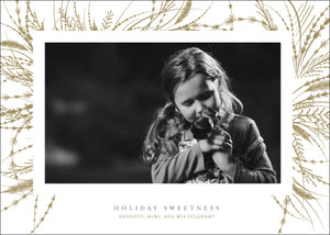 Holiday Photo Card: Tender Wreath