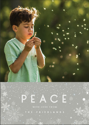 Holiday Photo Card: Tranquil Snow