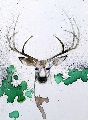 PRINT: Whitetail Deer